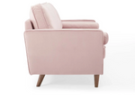 Pink velvet couch from Mypersnicketyhome.com