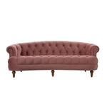 Pink velvet couch from Mypersnicketyhome.com