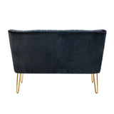 Black velvet loveseat from Mypersnicketyhome.com